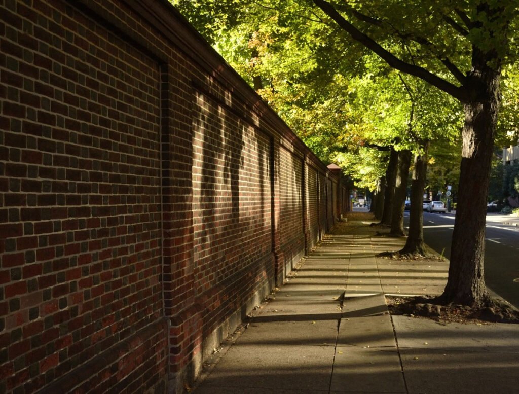 treewallsidewalk