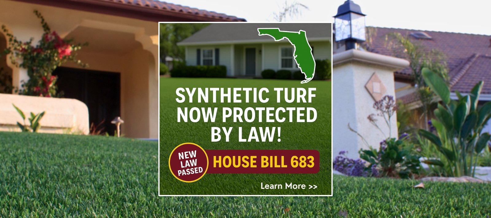 Untitled design (49)