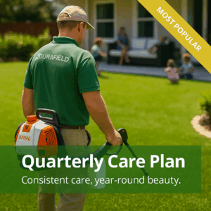 Quarterly Care Plan