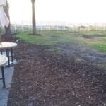 Oceanfront lawn area at Omni Amelia Island Resort before synthetic turf installation