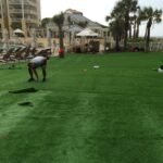 Durafield crew installing commercial synthetic turf at Omni Amelia Island Resort