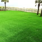 Oceanfront synthetic lawn with palm trees at Omni Amelia Island Resort, Florida