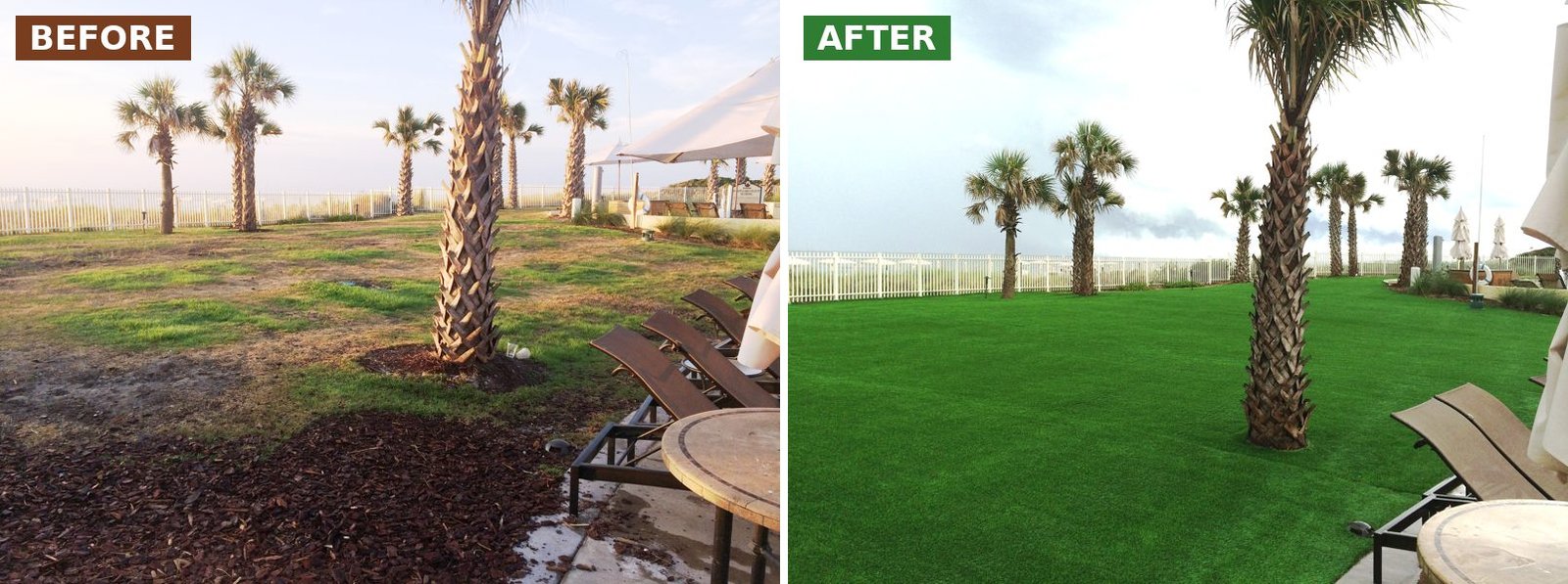 Before and after synthetic turf on the oceanfront lawn at Omni Amelia Island