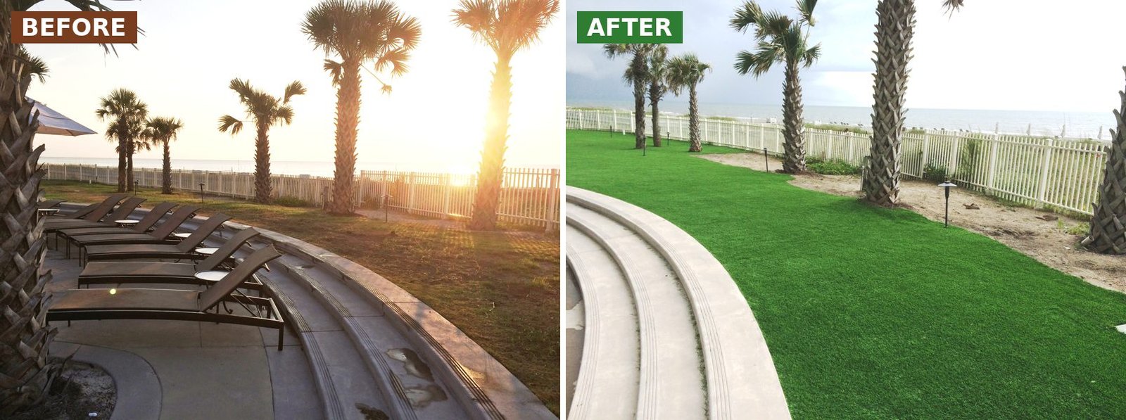 Omni Amelia Island before and after: lawn beside the curved pool steps Before and after synthetic turf installation at Omni Amelia Island Resort: lawn beside the curved pool steps