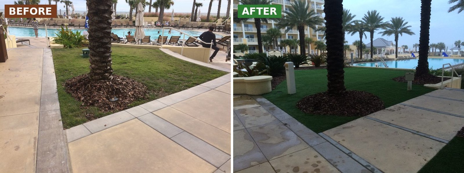 Before and after synthetic turf along the pool walkway at Omni Amelia Island